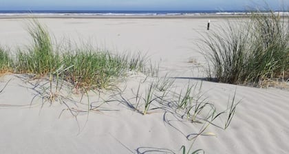 Chalet T12 inclusief Fietsen. Zee en Strand op loopafstand!