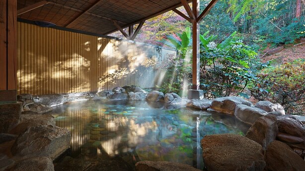 Un site de sources chaudes doté d’une terrasse en bois, d’une piscine en pierre et d’une végétation luxuriante.