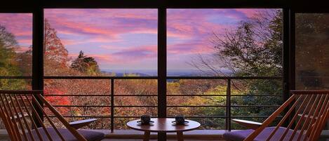 Standard Japanese Western Style room | View from room