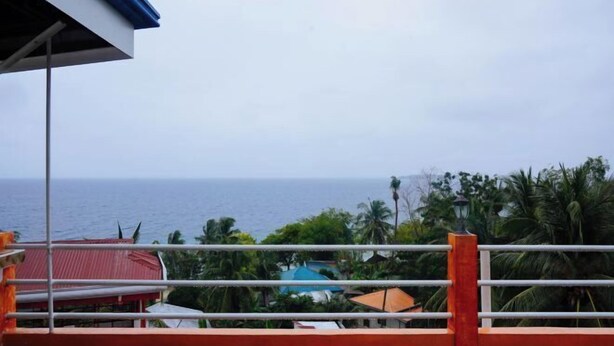 A view from a balcony overlooking a coastal area with a clear view of the ocean and palm trees. - C Star Travellers Inn (Oslob)