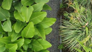 未分類圖片，第 4 張 (共 23 張)，按鈕