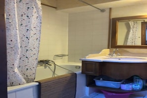 Hair dryer, bidet, soap, toilet paper