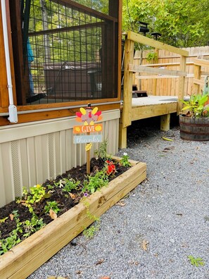 Property grounds - Charming and private tiny cabin with WiFi, AC, Hot tub, for couples! (Sevierville)