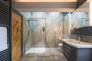 Shower, hair dryer, towels