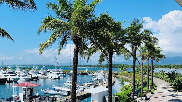 A marina with boats docked, palm trees lining the walkway, and a clear view of the water. - Casa Amable by Ronny's place - Manuel Antonio (Quepos)