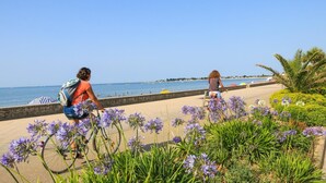 A coastal walkway with a bike lane, a paved path, and a view of the sea with boats. - Cocon du Clos - PEAULE (PEAULE)