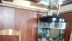 Una habitación con una silla de madera, un mueble pequeño de madera y un acuario sobre una estantería.