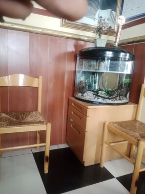 Reception - Valleycenterguesthouse  (Johannesburg)