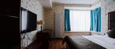 A hotel room with a bed, a television, a window with curtains, and a radiator.