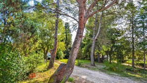 A forested area with a gravel path and a small structure. - Stunning home in Fournès (Fournès)