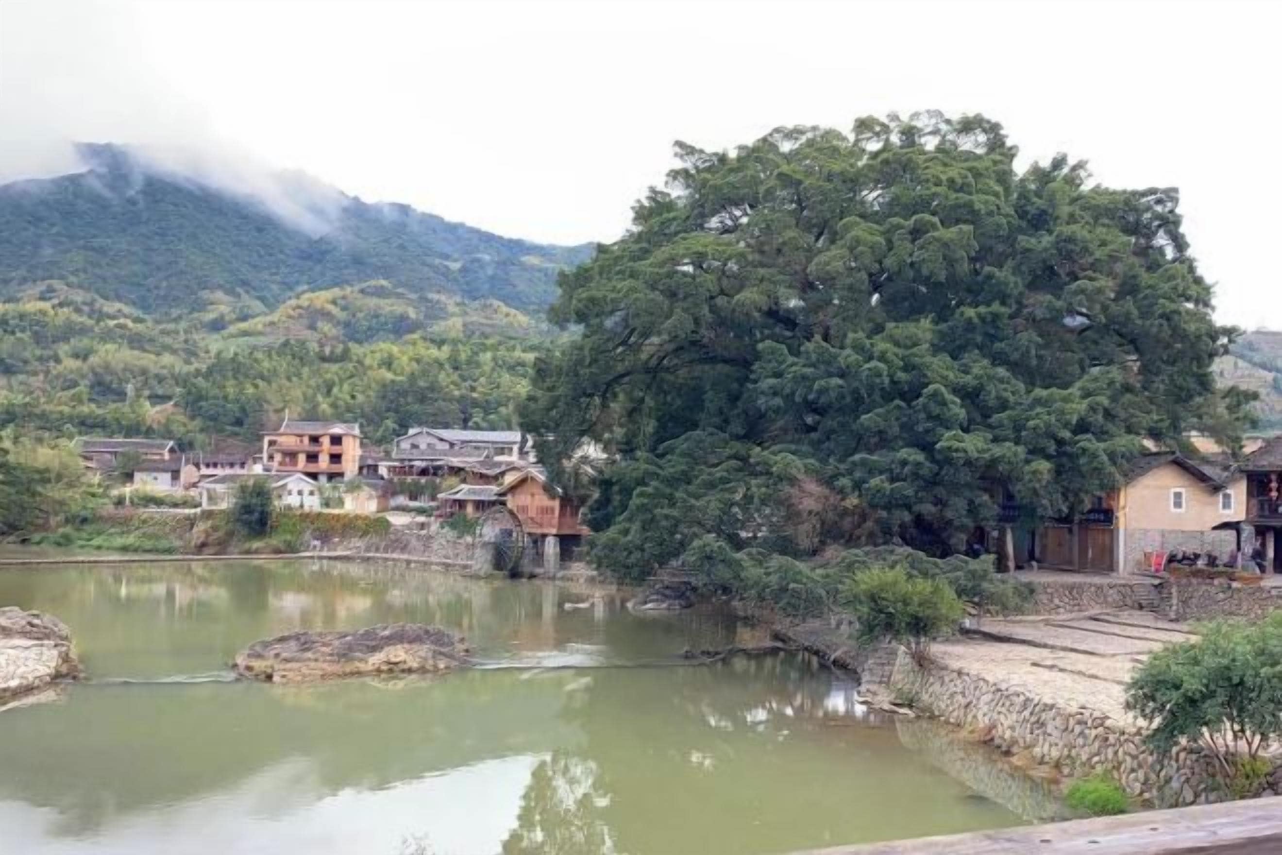 Un edificio tradicional con un estanque en primer plano, rodeado de árboles y una montaña al fondo.