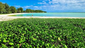 A beach with clear turquoise water, a sandy shore, and dense green vegetation in the foreground. - Natura Nikao Beach Villa (Rarotonga)