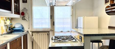 Kühlschrank, Ofen, Geschirrspüler, Esstisch