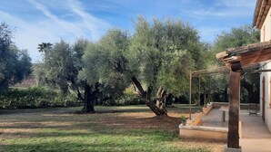 A courtyard with olive trees, a pergola, and a building with a tiled roof. - 06CB : Pretty country house for 8 (Tourrettes-sur-Loup)