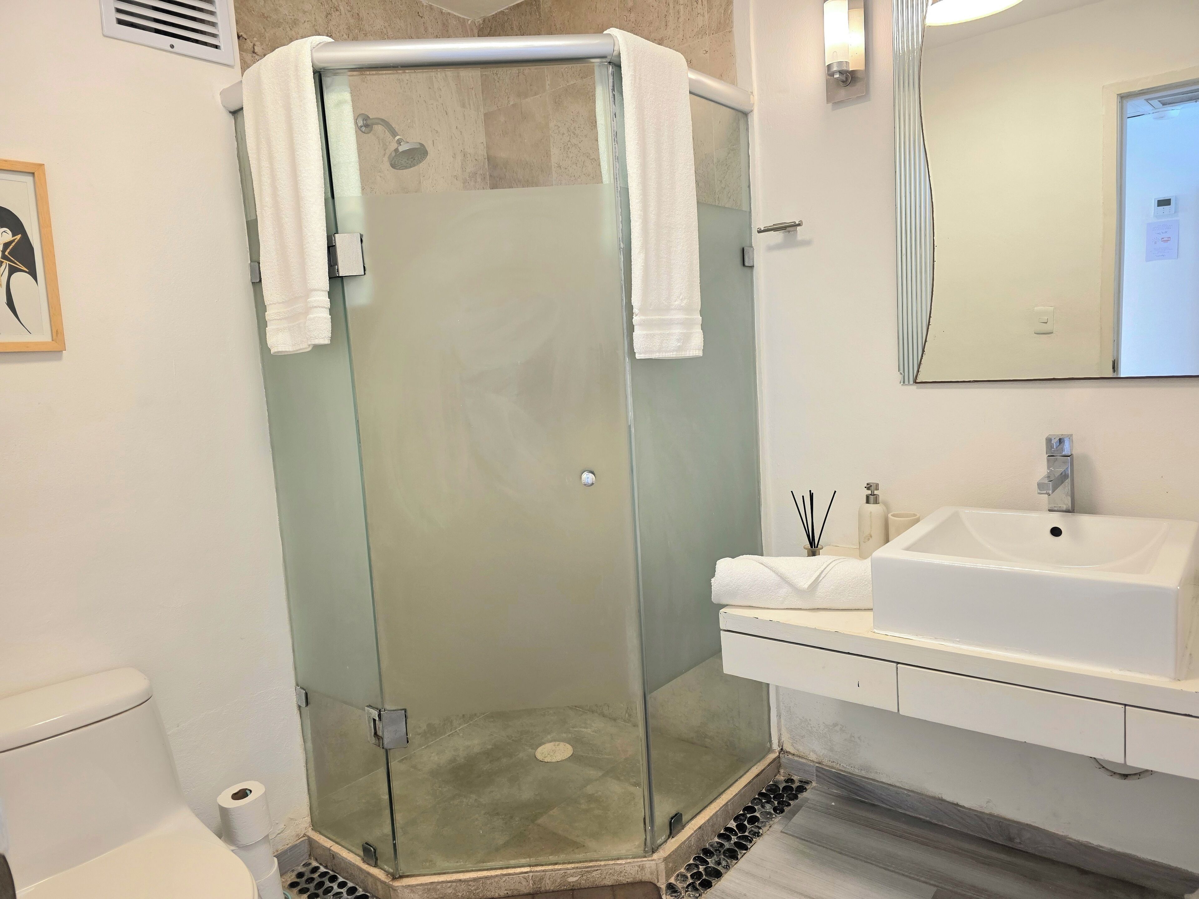 A modern bathroom with a glass-enclosed shower, a white sink, and a mirror above the sink.