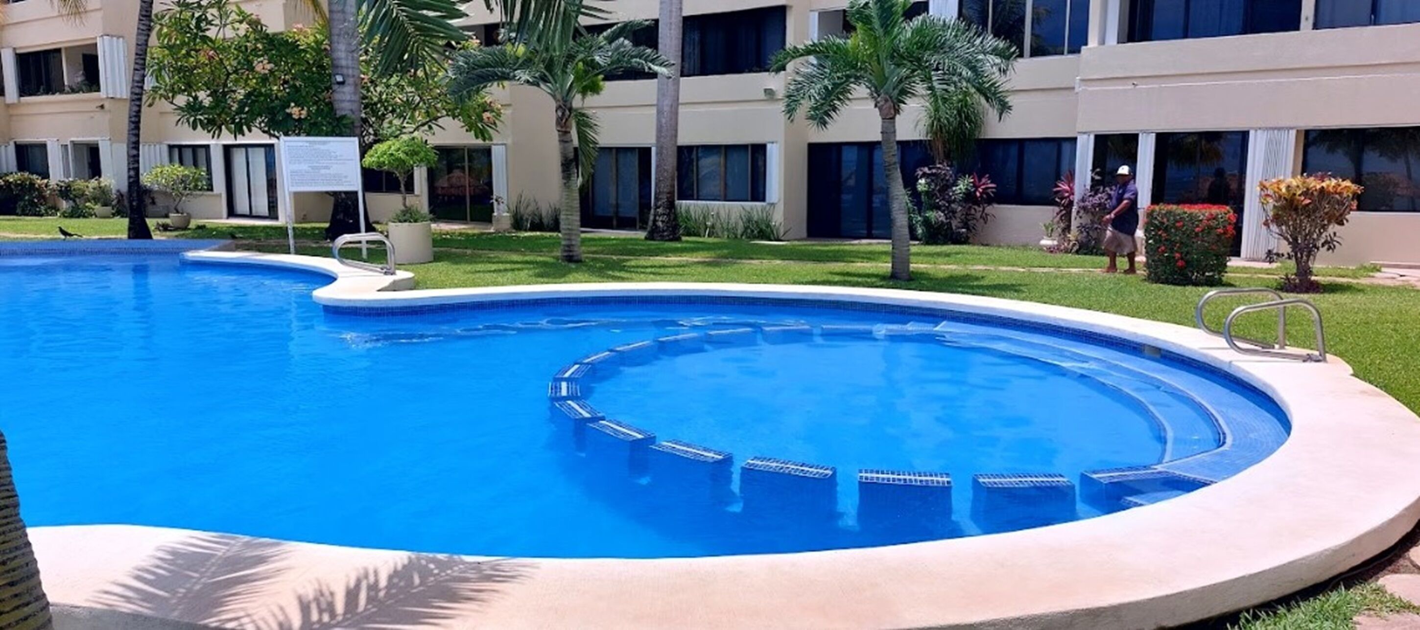 A swimming pool with a circular design, surrounded by a well-maintained lawn and palm trees.