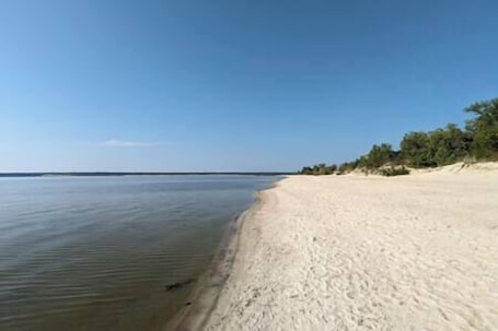 Beach. Birchforest Bungalow