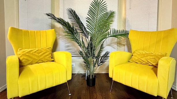 A corner room with two yellow armchairs, a potted plant, and a window with blinds.