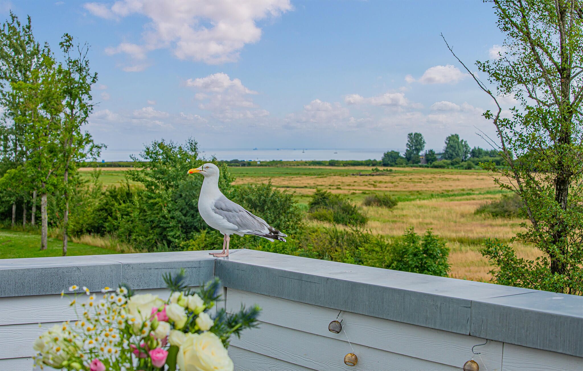 Eine Möwe auf einem Balkon mit Blick auf eine ländliche Landschaft aus Feldern und Bäumen.