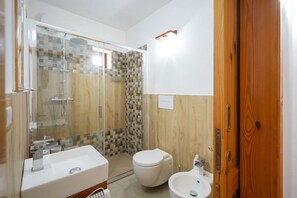 Shower, hair dryer, bidet, towels