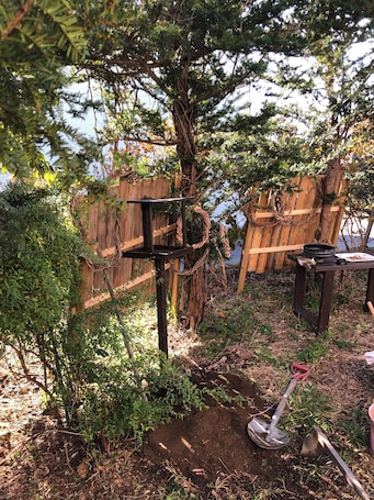 Ćrea da propriedade