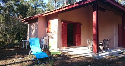 South-facing detached house 1.5 km from the ocean in a quiet cul-de-sac