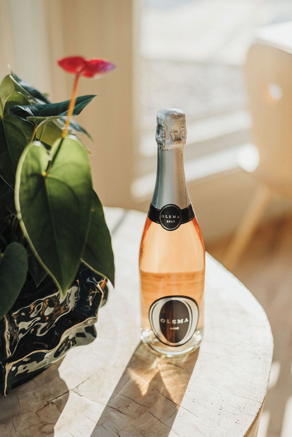 Una botella de champán Olema Brut sobre una mesa de mármol, con una planta en maceta al lado.