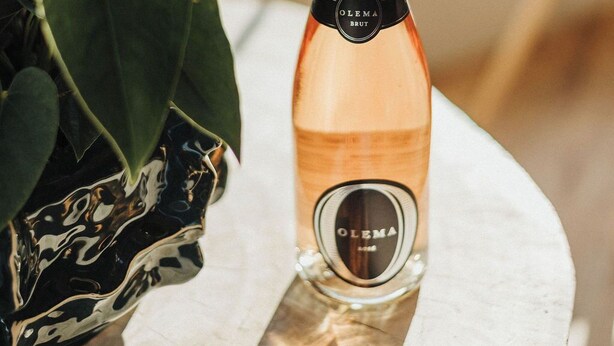 Una botella de champán Olema Brut sobre una mesa de mármol, con una planta en maceta al lado.