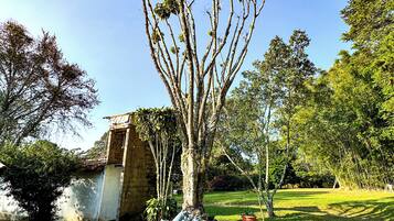 Área da propriedade