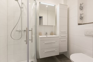 Shower, hair dryer