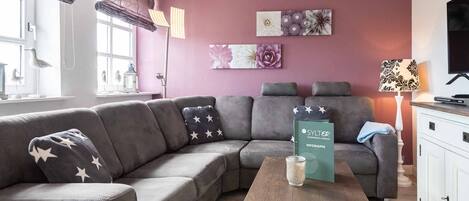 Televisor, reproductor de DVD i estèreo