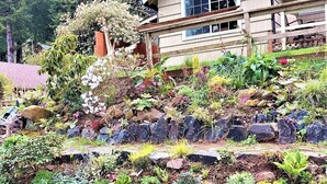Een aangelegde tuin met diverse planten en rotsen, een houten omheining en een huis op de achtergrond.