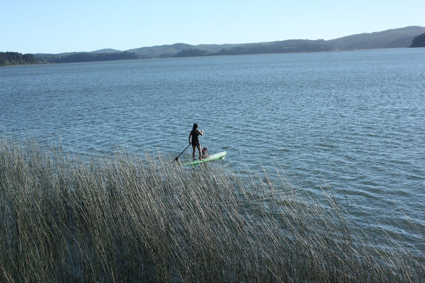 A person paddleboarding on a calm lake with distant hills.