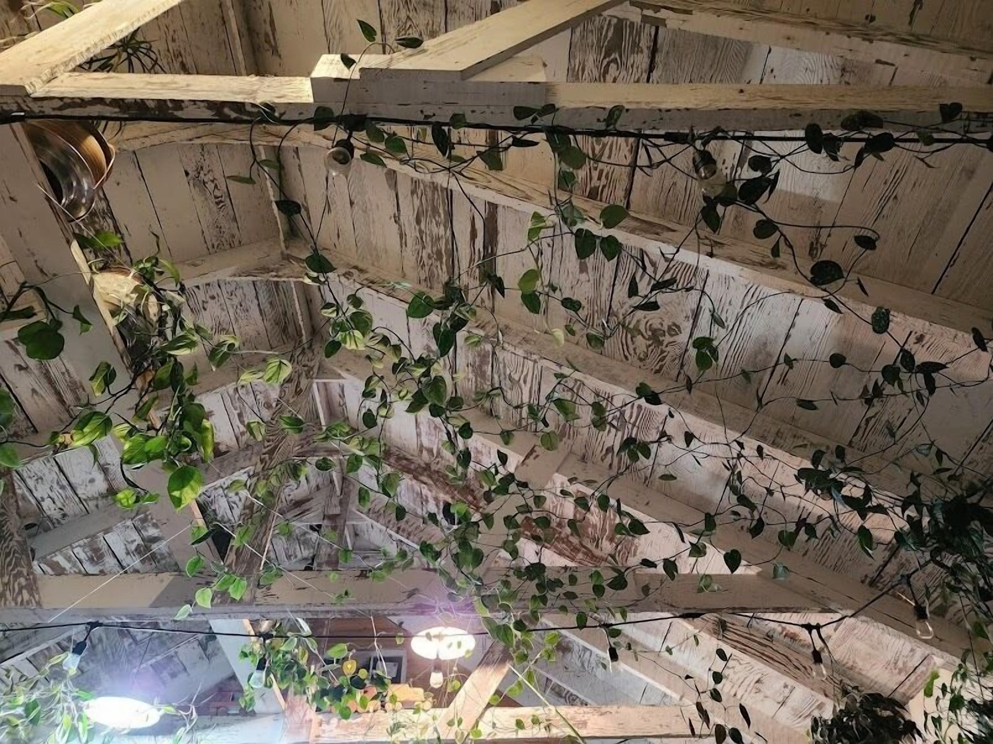 Casa panorámica | Área de sala de estar