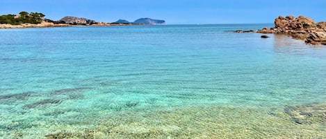 在海灘附近