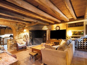 Televisio, takka, DVD-soitin, pöytätennispöytä