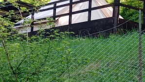 Un alojamiento en tienda de campaña rodeado de vegetación densa, con un puente de madera que lo conecta.