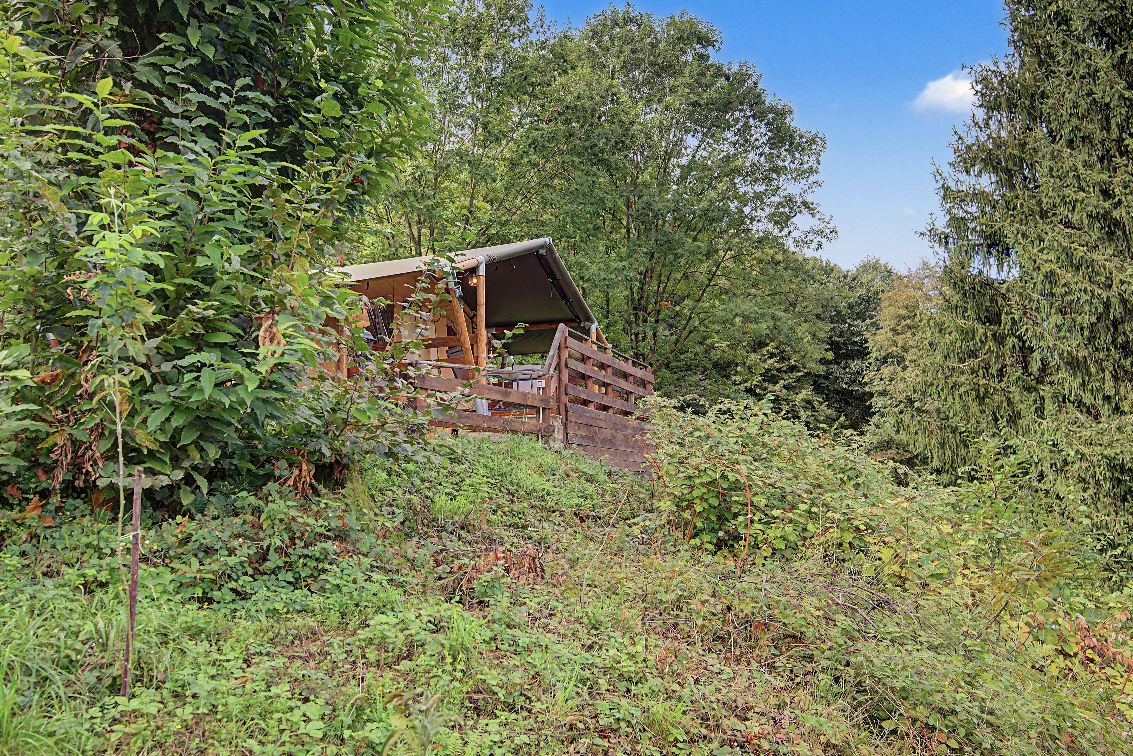Eine rustikale Holzhütte mit geneigtem Dach, umgeben von dichtem Grün.