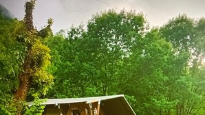 Une cabane rustique avec un escalier en bois menant à une véranda, le tout entouré d’une végétation luxuriante.