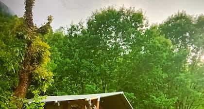 Glamping 'C Selva Tenda Castagno' with BBQ and Shared Pool