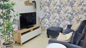 TV