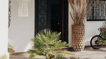 Detalle del exterior