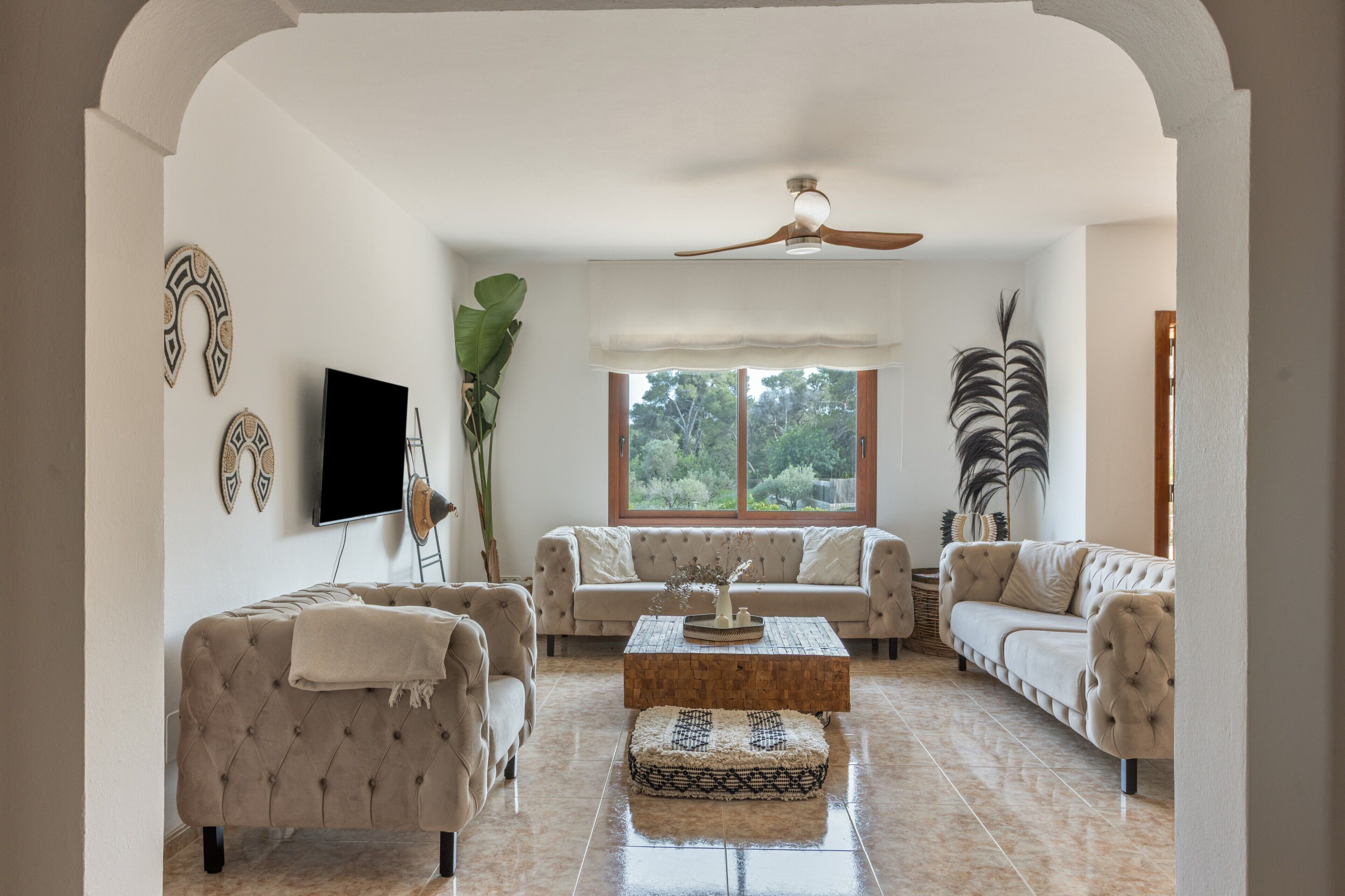 Televisio, pöytätennispöytä