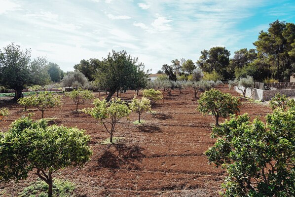 Overnattingsstedets uteområder