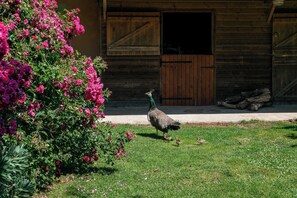 Parco della struttura