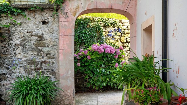A stone wall, an archway, and potted plants.