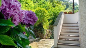 A staircase leading to a building with a stone wall and greenery in the background.