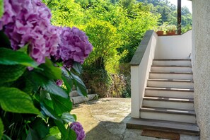 Terrain de l’hébergement 