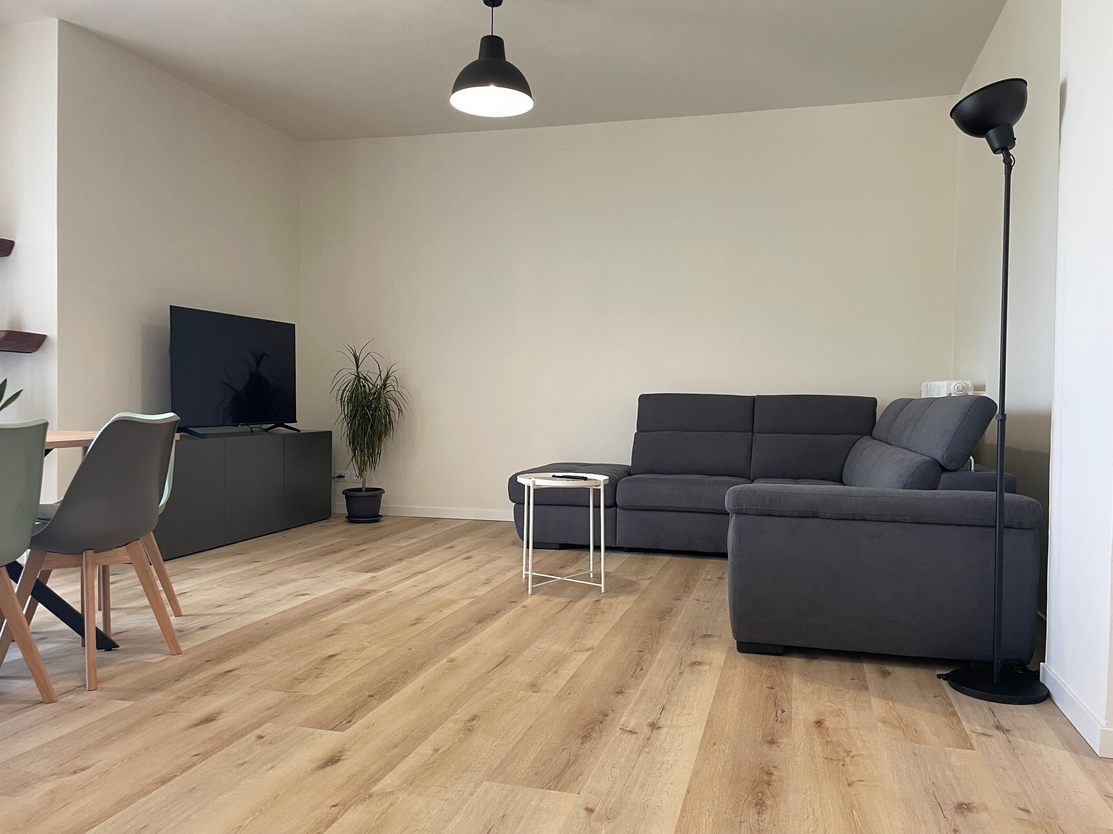 A modern living room with a sofa, a TV, a plant, and a dining area with chairs.