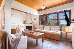 Télévision, cheminée, chaîne hi-fi